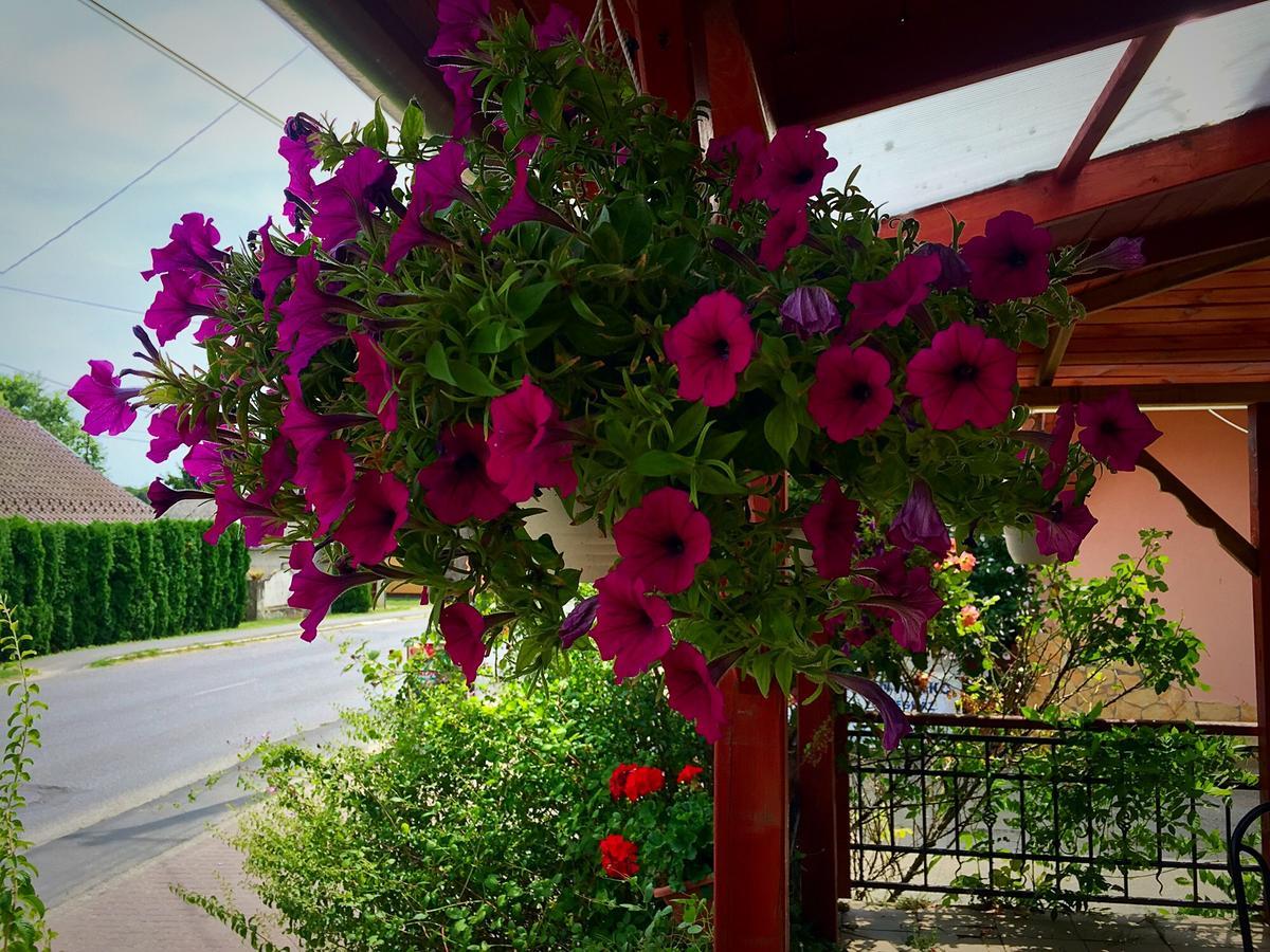 Villa Negra Motel Berzence ภายนอก รูปภาพ
