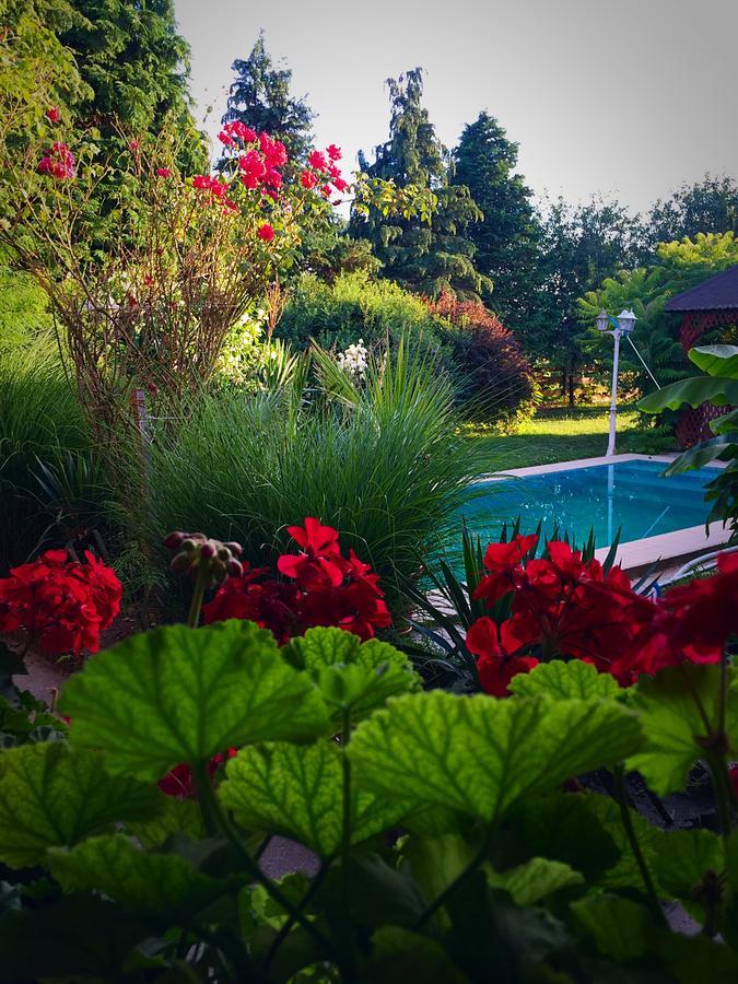 Villa Negra Motel Berzence ภายนอก รูปภาพ