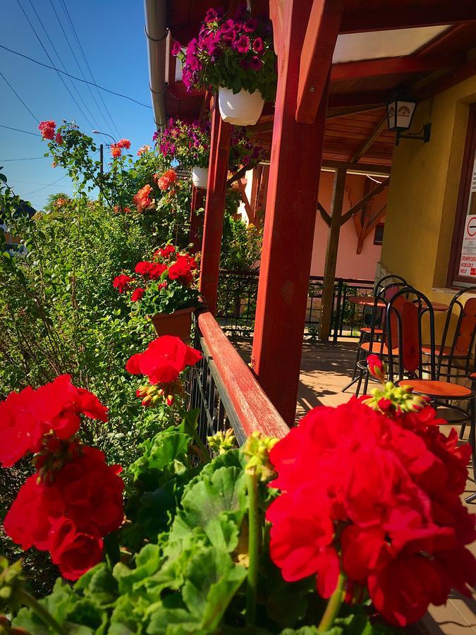 Villa Negra Motel Berzence ภายนอก รูปภาพ