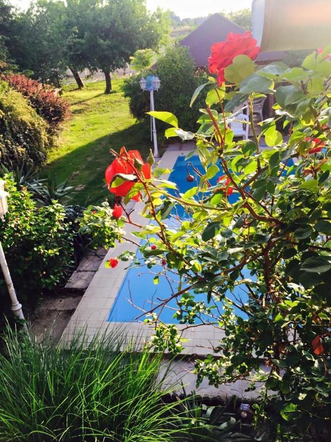 Villa Negra Motel Berzence ภายนอก รูปภาพ
